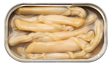 Razor-Shell in Brine B