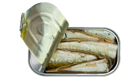 SARDINE IN ORGANIC EXTRA VIRGIN OLIVE OIL B