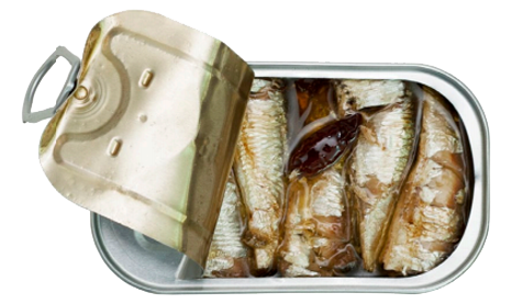 SPICED SMALL SARDINE IN ORGANIC EXTRA VIRGIN OLIVE OILb