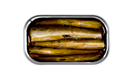 Garfish-cat
