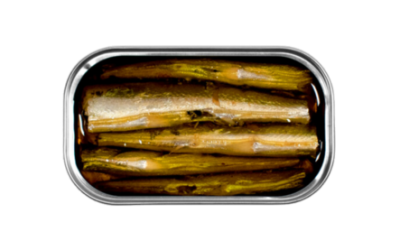 Garfish-cat