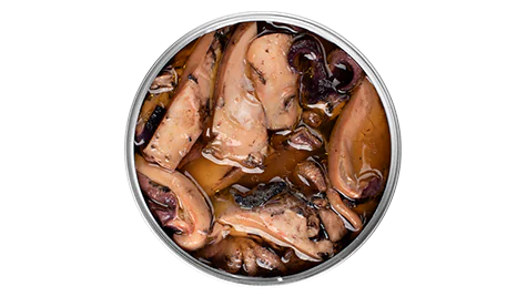 Cuttlefish Algarve Style B