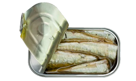 SARDINE IN ORGANIC EXTRA VIRGIN OLIVE OIL B