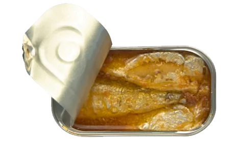 SARDINE IN ORGANIC TOMATOES AND EXTRA VIRGIN OLIVE OILB