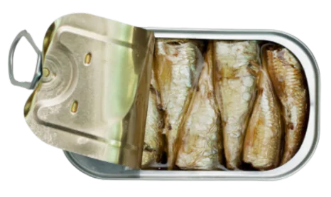 SMALL SARDINE IN ORGANIC EXTRA VIRGIN OLIVE OILb