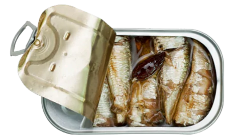 SPICED SMALL SARDINE IN ORGANIC EXTRA VIRGIN OLIVE OILb