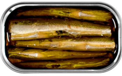 Garfish in Extra Virgin Olive Oil B