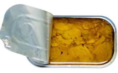 TUNA IN ORGANIC EXTRA VIRGIN OLIVE OIL B