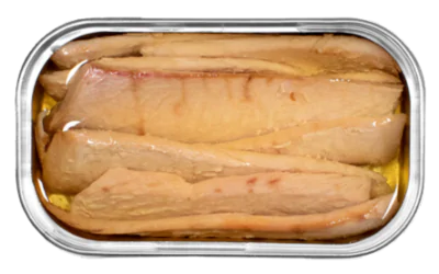 Ventrusca Tuna in Olive Oil B